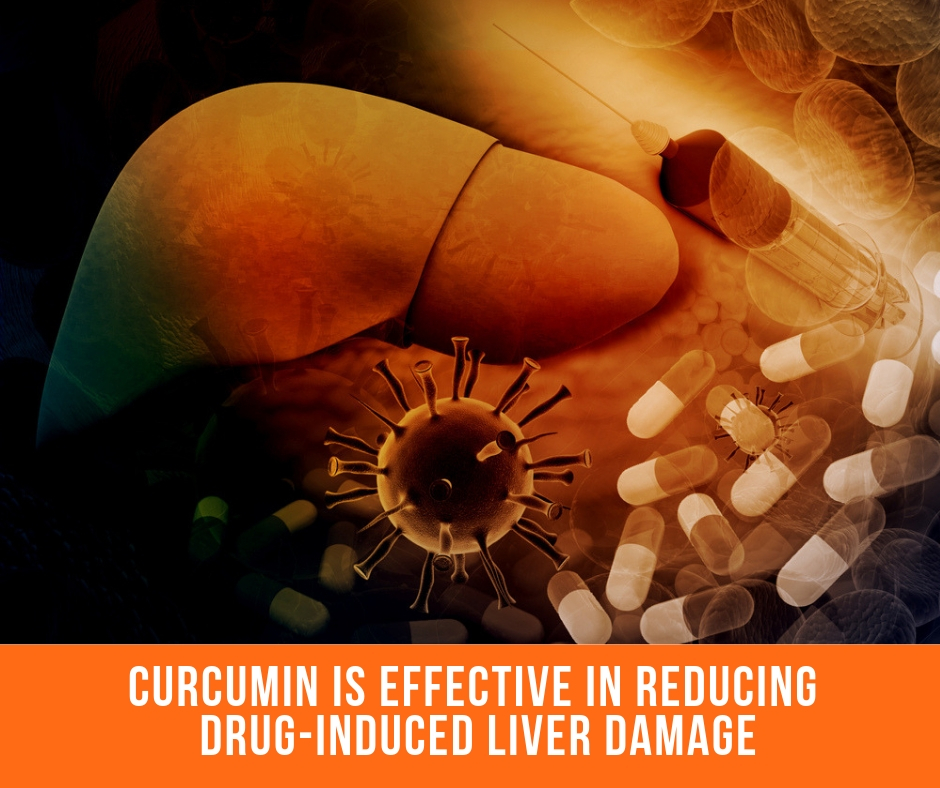 Curcumin Is Effective In Reducing Drug-Induced Liver Damage